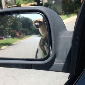 Meet your Posher, Myron